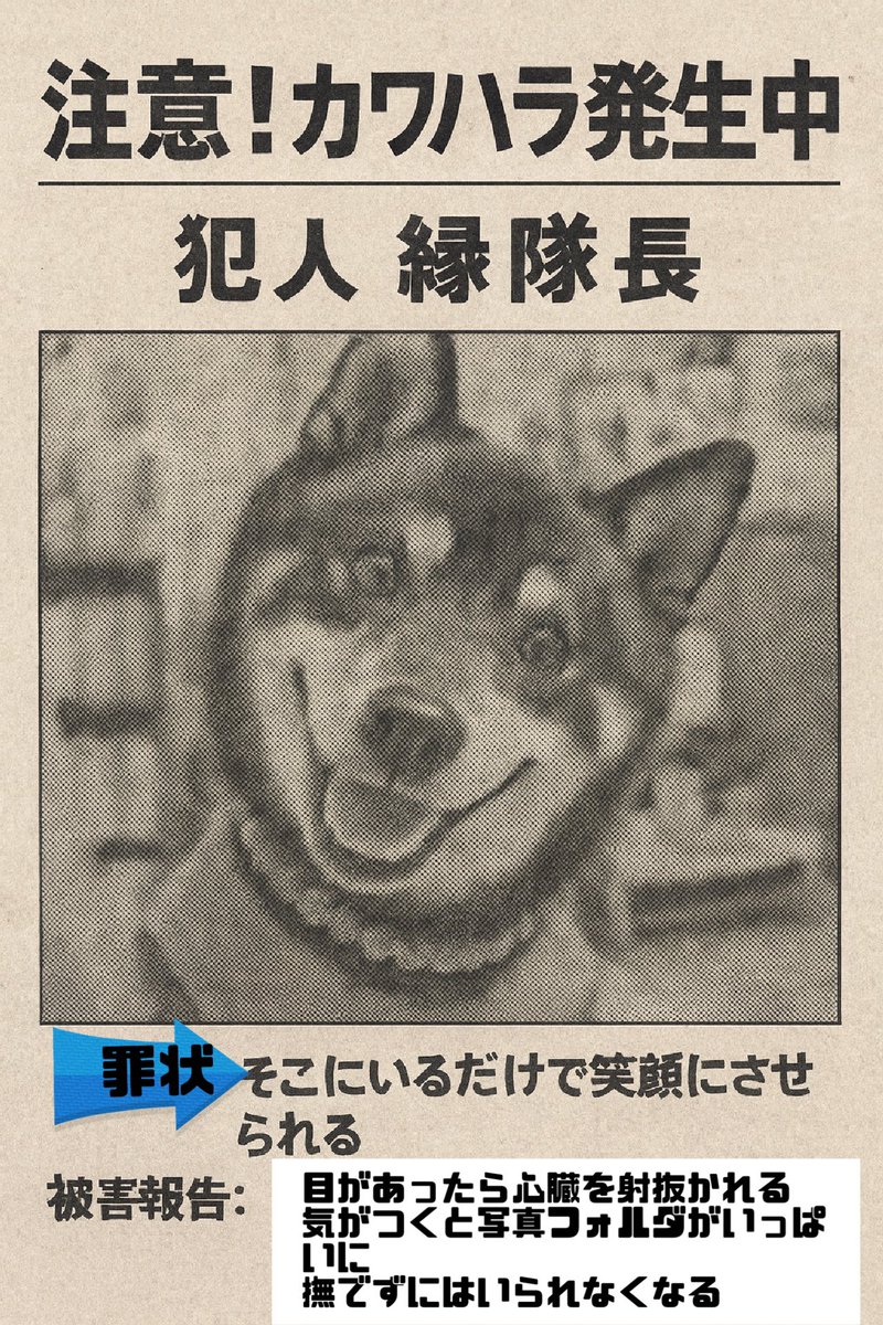 bukizo's tweet photo. 大変！みんなも気をつけて
#注意喚起#黒柴#カワハ��� https://t.co/W7zDBTKD4l