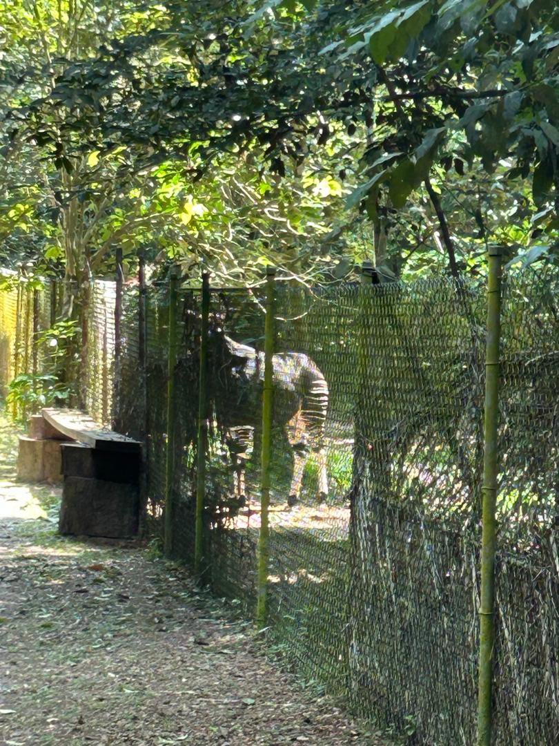 Jefferson Abdallah tweet media