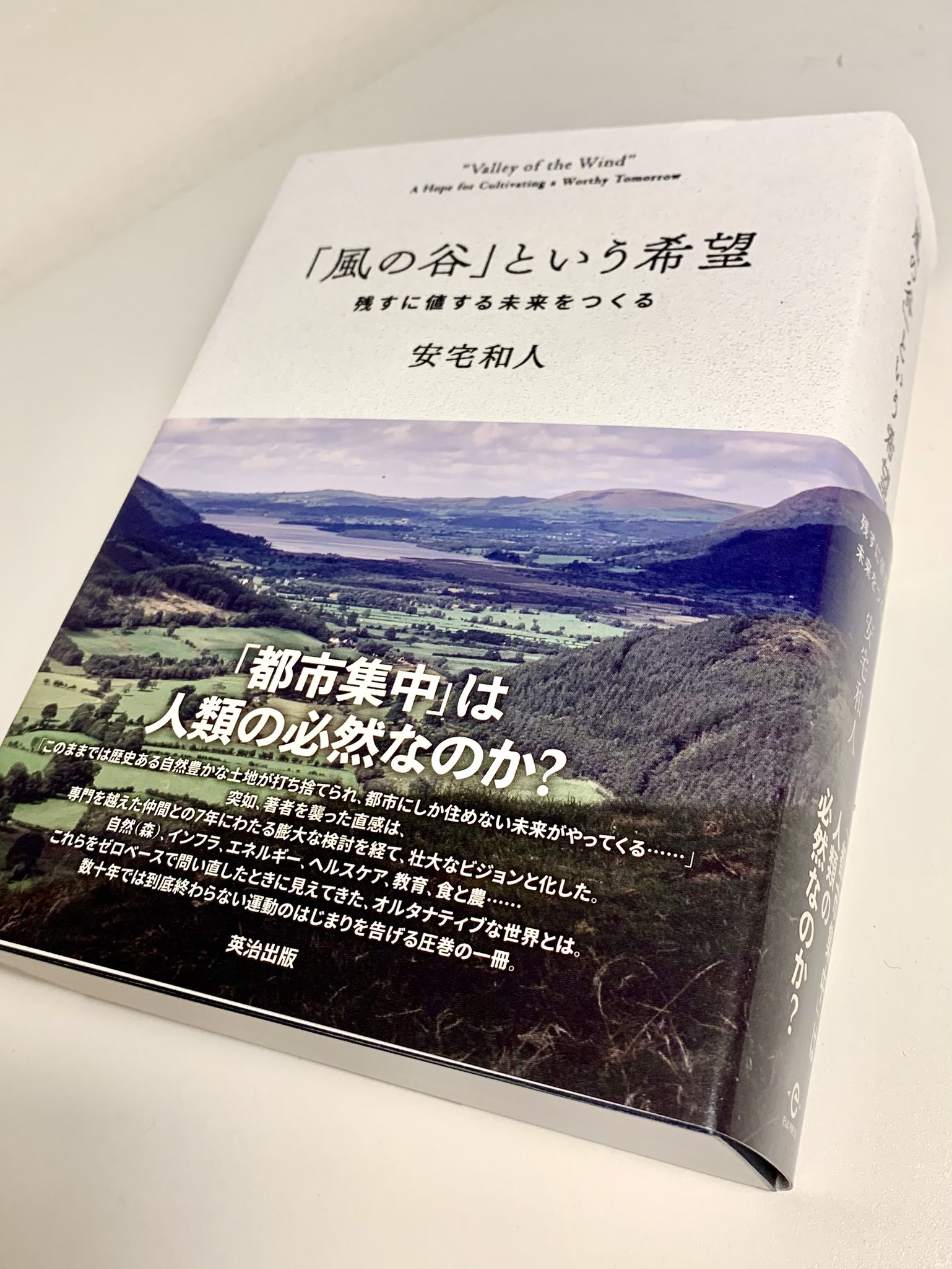 【売切必至・重版微妙】「風の谷」という希望 安宅和人 m12003059884_1.jpg?1753845651