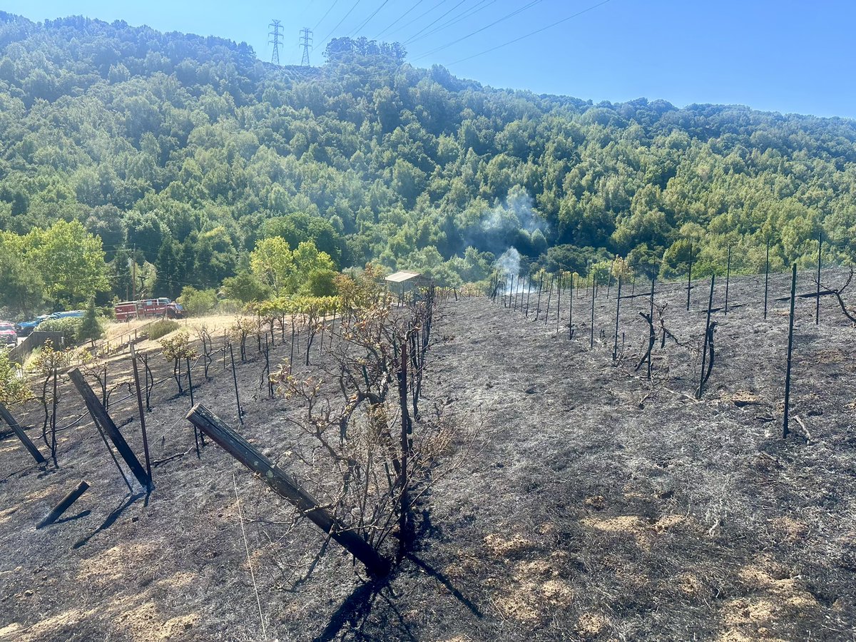 calfireSCU's tweet image. #PaloFire [update] near Palomares Rd X Ewing Ter in Castro Valley (Alameda County) remains at 10 acres and is 60% contained. Firefighters continue making good progress in implementing and securing containment lines.
#CALFIRESCU 
@AlamedaCoFire @HaywardFireNews