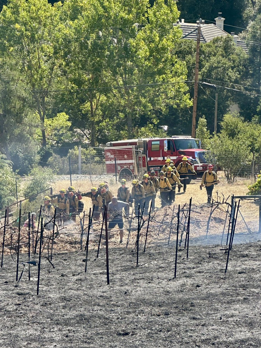 calfireSCU's tweet image. #PaloFire [update] near Palomares Rd X Ewing Ter in Castro Valley (Alameda County) remains at 10 acres and is 60% contained. Firefighters continue making good progress in implementing and securing containment lines.
#CALFIRESCU 
@AlamedaCoFire @HaywardFireNews