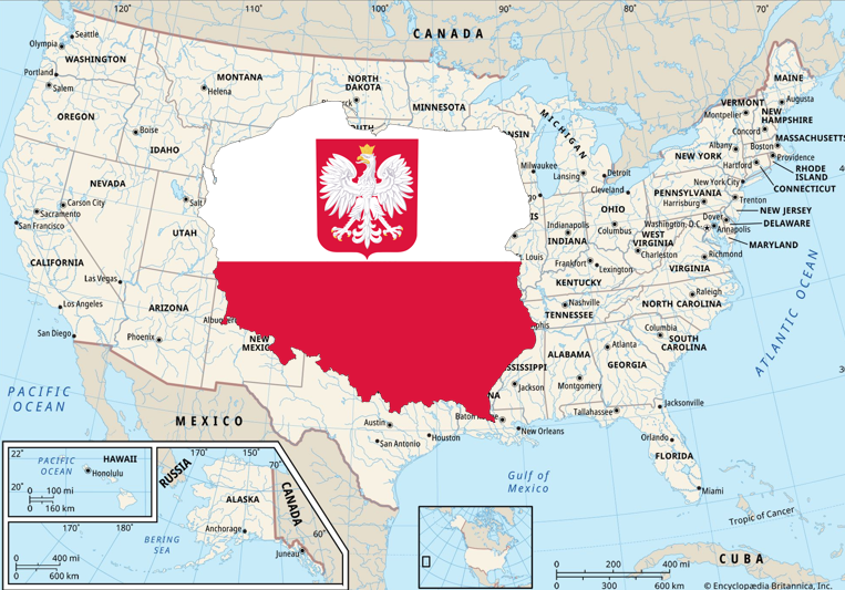 Daniel Foubert 🇵🇱🇫🇷 tweet media