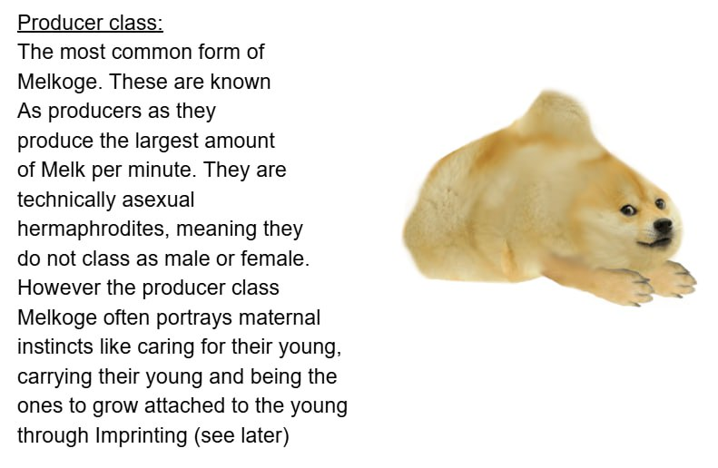 wagered_sol's tweet photo. some of the most insanely detailed doge lore ive ever seen.

introducing the producer class https://t.co/UfI7DEKlOA