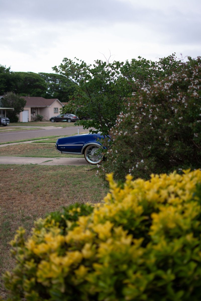 Sierra🪐 tweet media