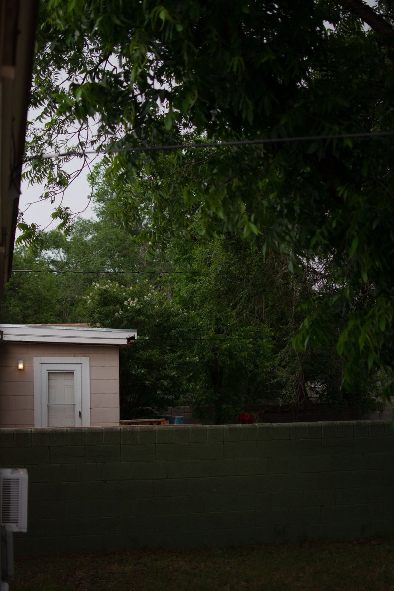 Sierra🪐 tweet media