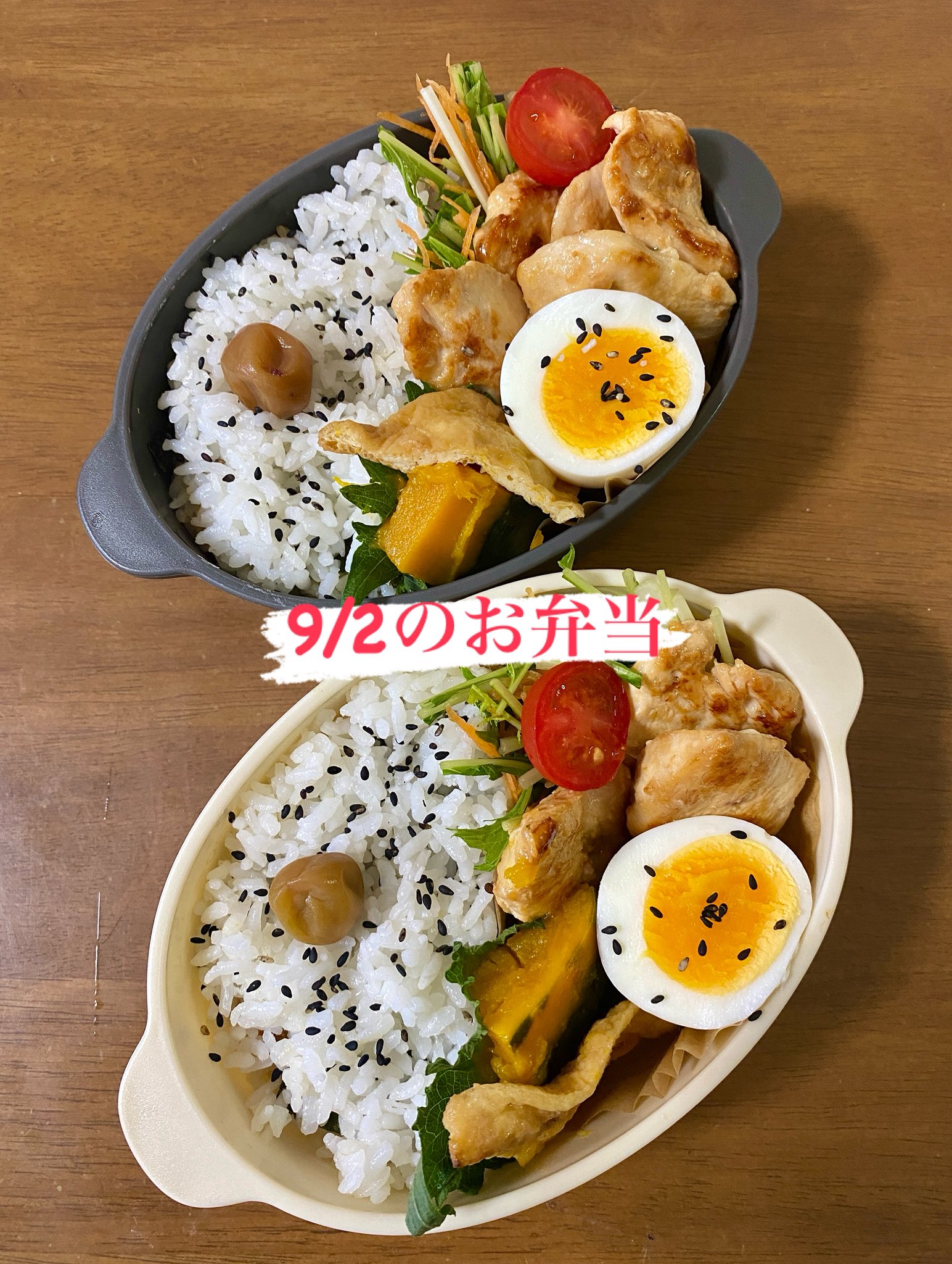 あの素晴らしい弁当を2度3度　イタチョコシステム　for macintosh ヘナチョコゲームセレクション for Windows -iTachoco Systems