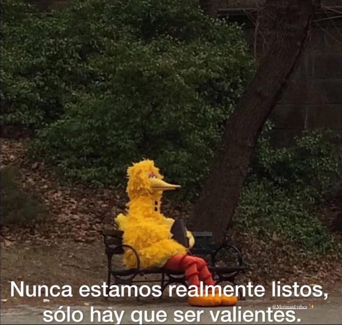 Pensamientos (@frasesimple) on Twitter photo 