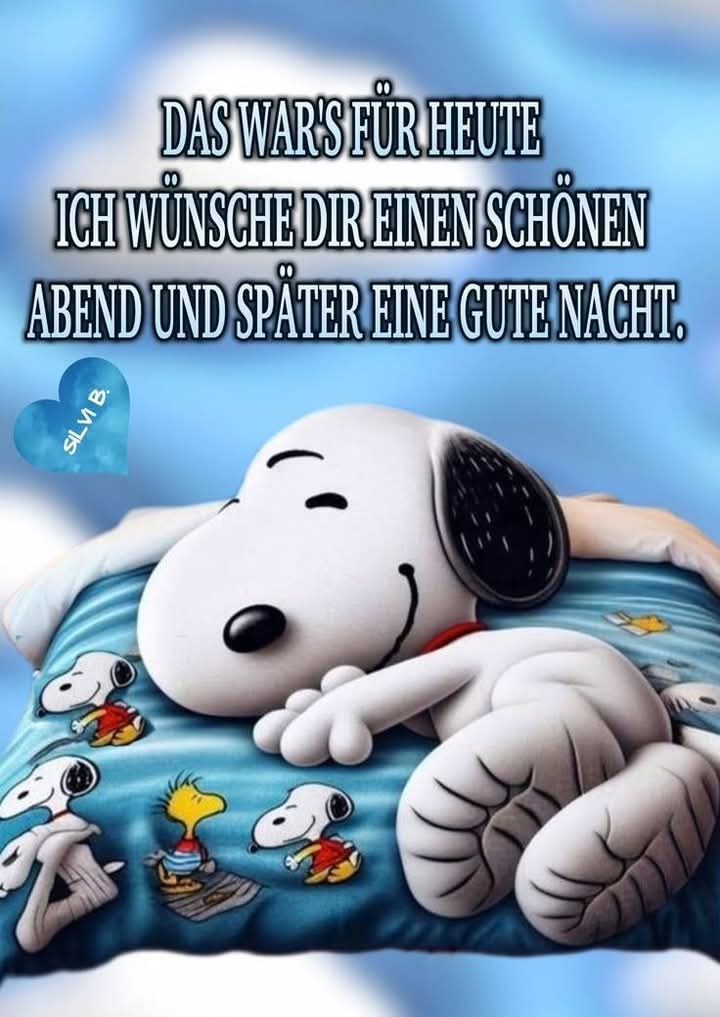 Hallo ihr Lieben👋, ich🙋‍♂️ wünsch euch allen👨‍👩‍👦‍👦 ne angenehme und erholsame Nacht🌃. Nen ruhigen Schlaf🥱 mit schönen Träumen🧸. 💤