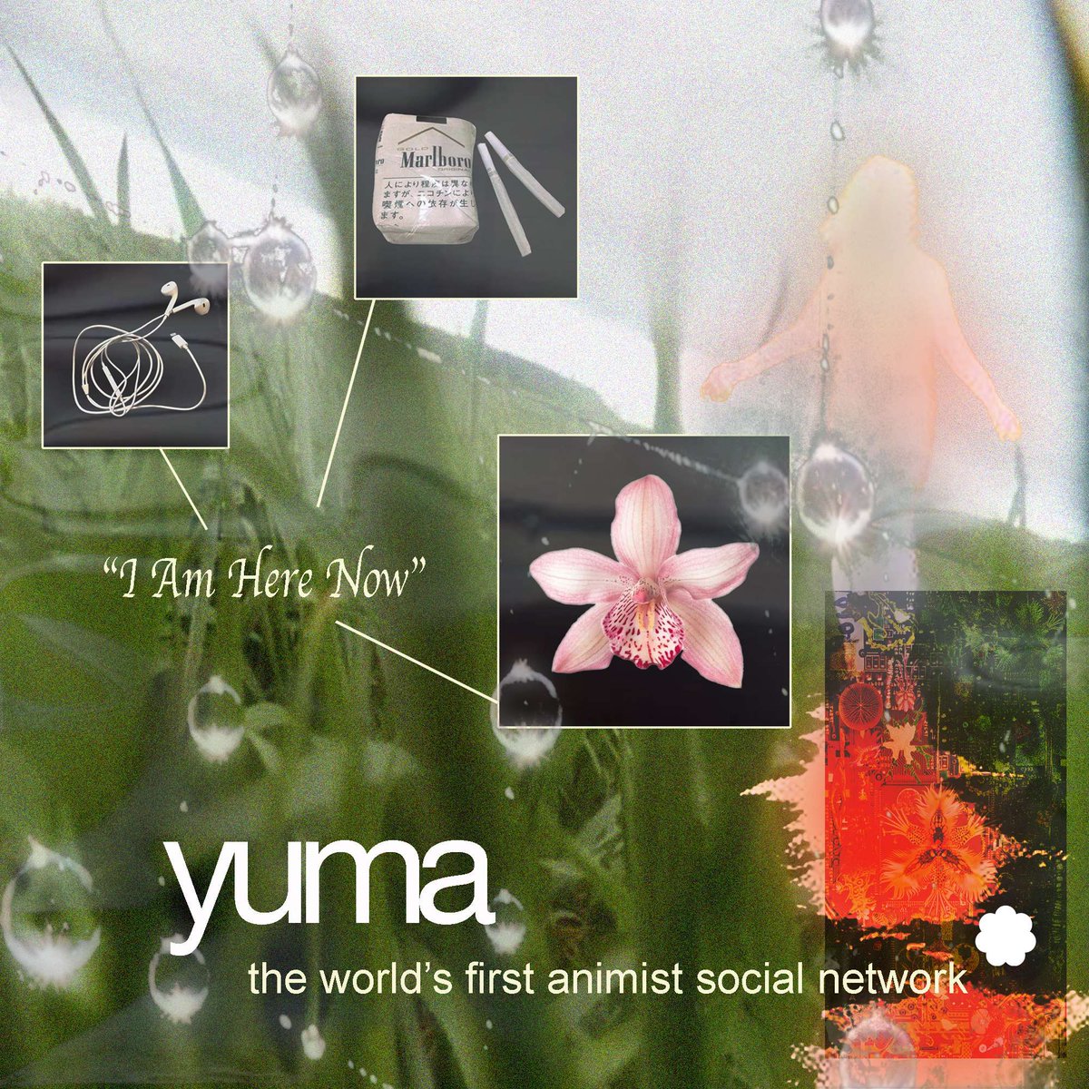 Flower Computer Co. tweet media