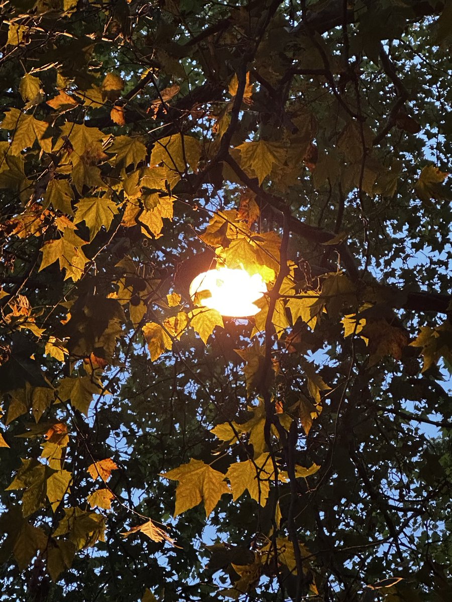 London already feeling quite autumnal.