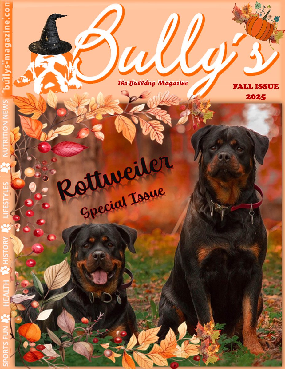 OHF's Bully's The Bulldog Magazine Fall Issue Has Arrived!
 
Fall is here and we are delighted to feature Rottweilers in this issue along with other great articles including pet news, pet handedness, and the amazing Adventures of Bean Hart series. All proceeds from this magazine