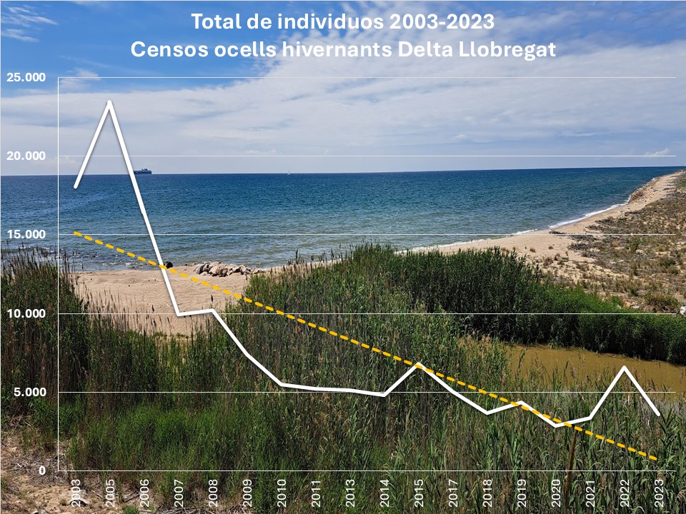 📢 Més de 40 ha d’aiguamolls i 50 ha de pinedes..el fracàs de les mesures ambientals al Delta del Llobregat.

❌ En 20 anys, el Delta ha perdut:

🔻 El 80% de les aus hivernants.
🔻 El 91% de les espècies protegides ZEPA.

bsky.app/profile/depana…