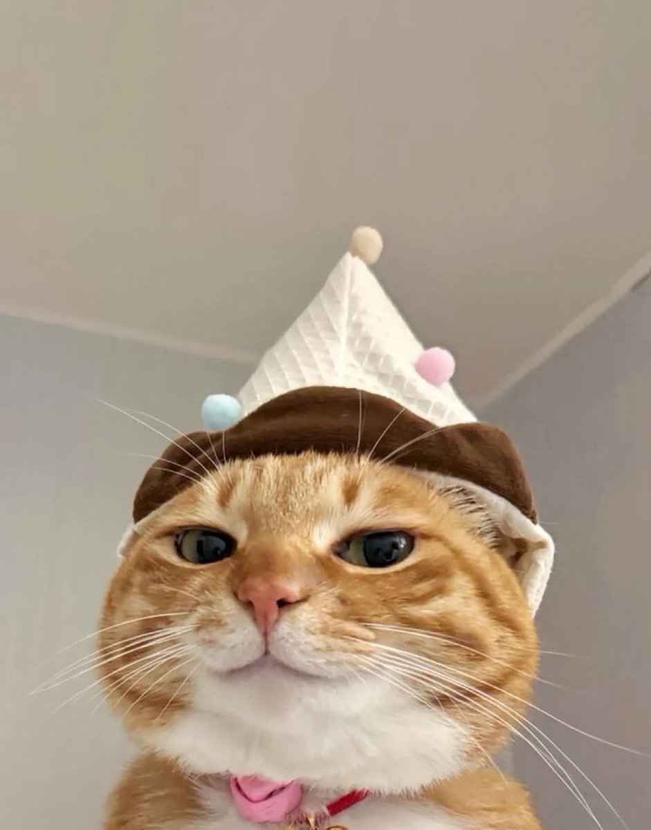 Aadi 💪 (@rawandreals) on Twitter photo 