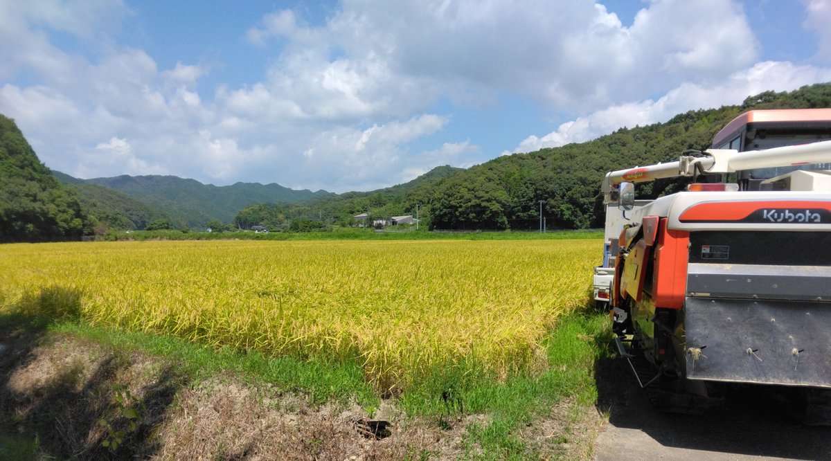 農家直送の新米コシヒカリ🌾合計20kgプレゼント済み

プレゼント企画する理由【精米、無洗米どちらか分からなくなった為】15日ほど前に精米

約2kgを2名にプレゼントします
 #プレゼント企画🍚
🌾応募方法
①コメントでシルク米
②この投稿をリポスト(RP)

当選者には9月5日までにDMします