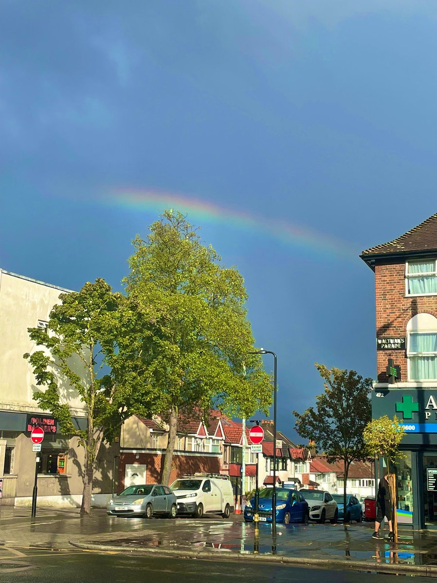 bonita lo thee oracle tweet media