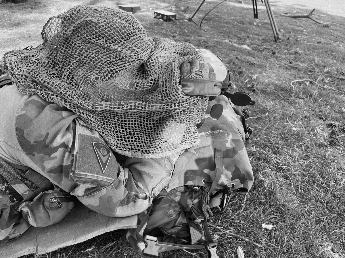 Defence Forces Cavalry Corps tweet media