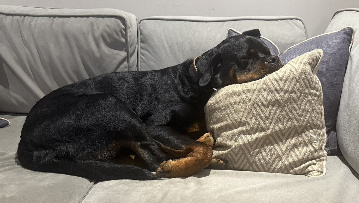 It’s his house, he just lets us stay here