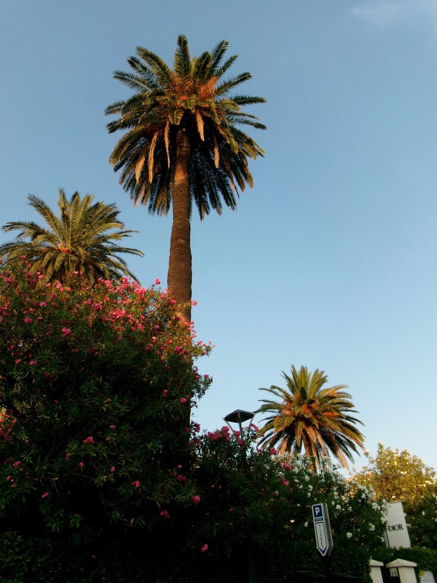 beqaaa🇬🇪 tweet media