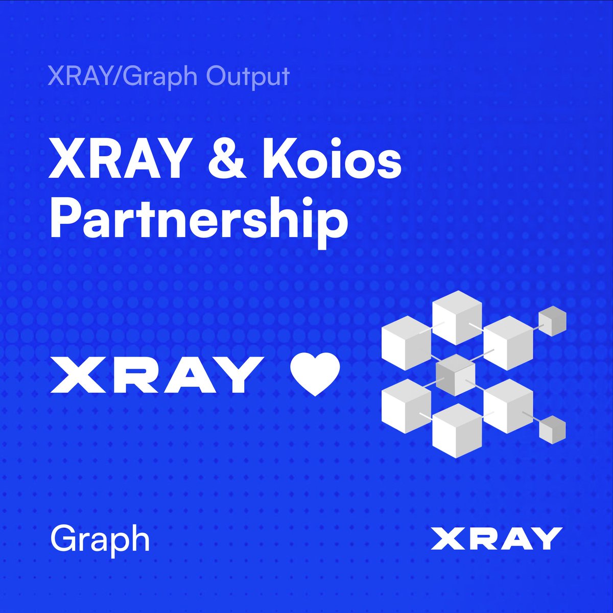XRAY/Network tweet media