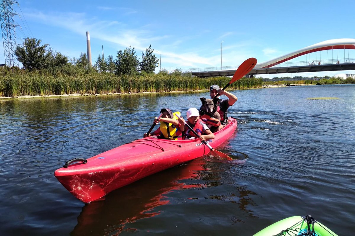 tobyheaps's tweet image. A different kind of &quot;doggy paddle&quot; through the Donlands. Thanks to all who played part in bringing it back to live @TRCA_HQ @WaterfrontTO @cityoftoronto, #mothernature
