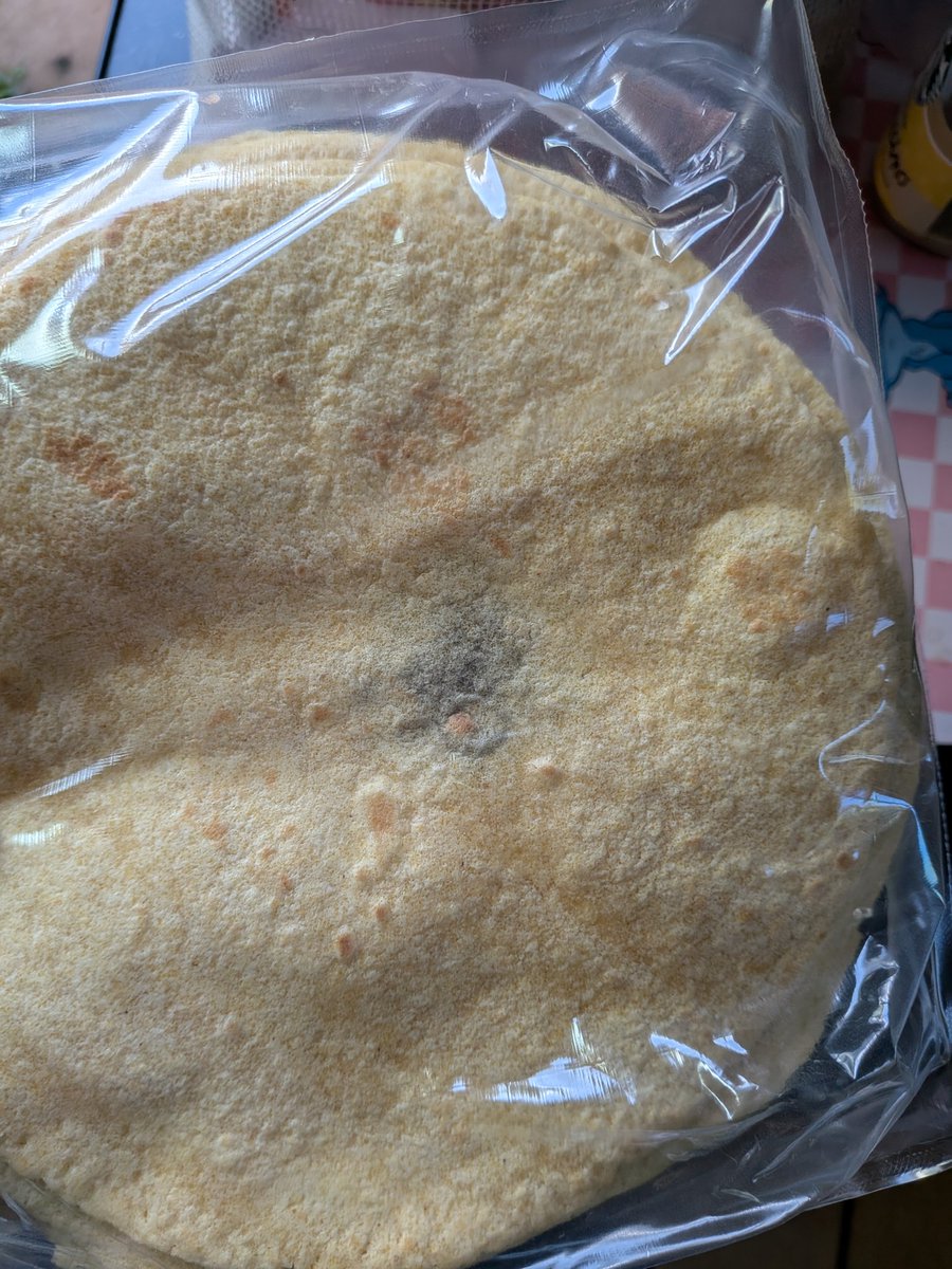 Russell Morrell tweet media