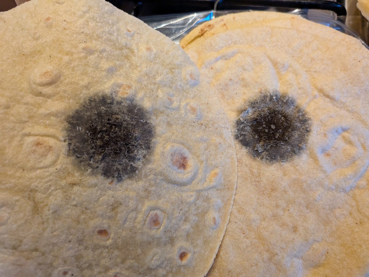 Russell Morrell tweet media