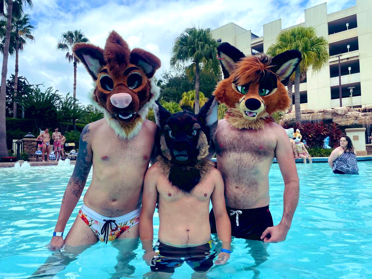 Tav 🔜 NFC tweet media