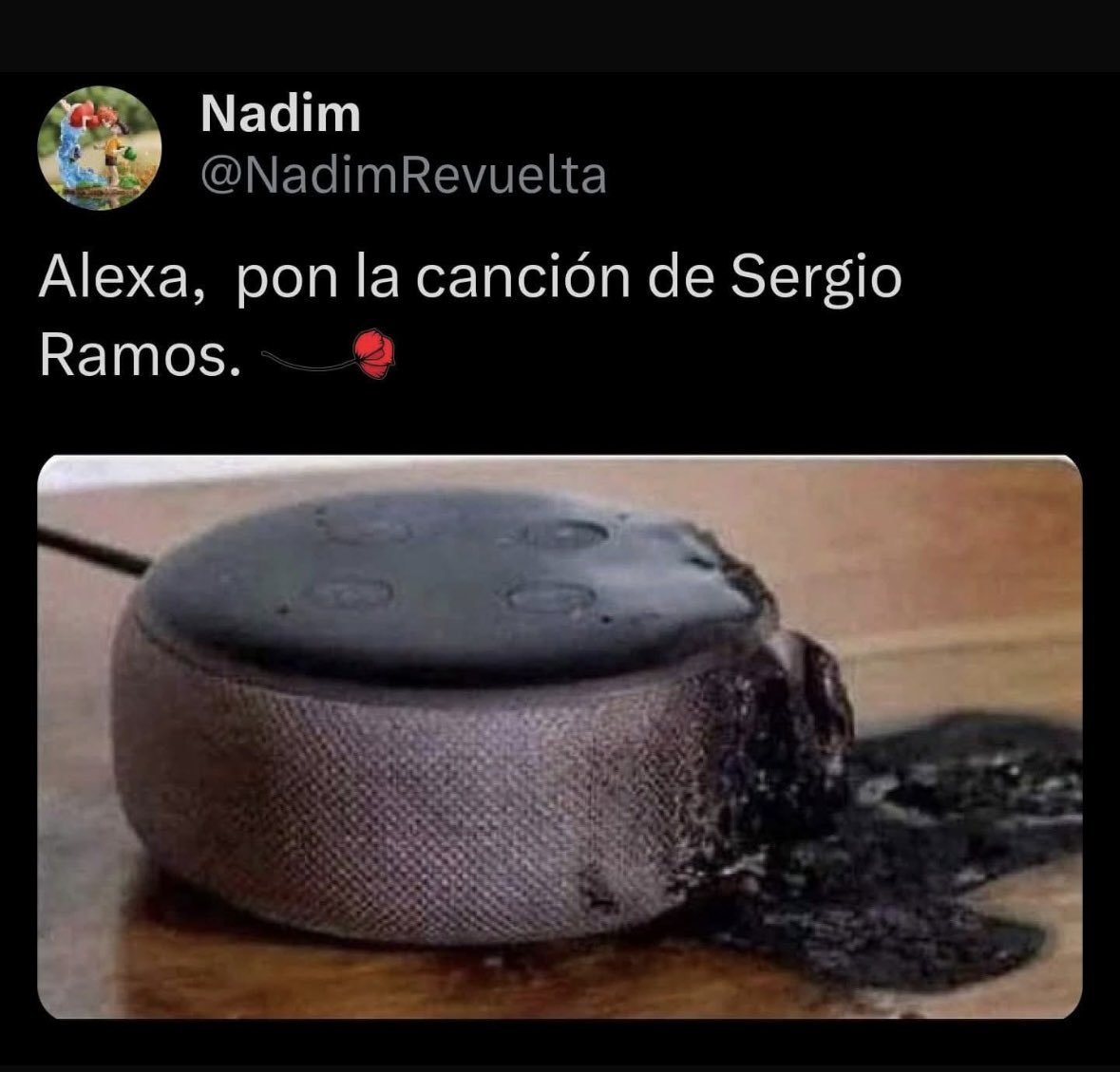 😂😂😂