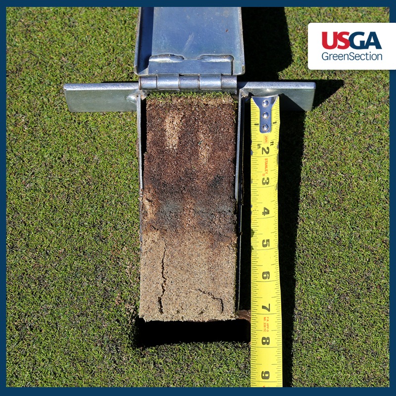 USGAGrnSection's tweet photo. Are you managing putting green organic matter, or is it managing you 👇