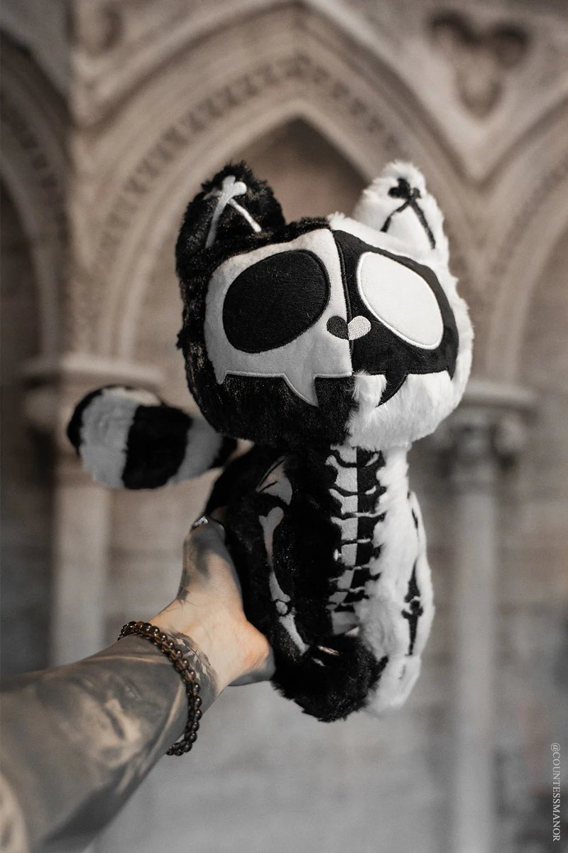 VampireFreaks's tweet photo. What would you name our Splitzokitty Plush Toy? ๐ค
Adopt yours today from VampireFreaks!
#VampireFreaks #SplitzoKitty #CreepyCute #SpookyPlush #AlternativeStyle #AltFashion #GothStyle #SceneStyle #EmoStyle #DarkAesthetic #GothicStyle #SpookyCute #GothKawaii #EmoPlush #AltToys https://t.co/odcBKDwebI