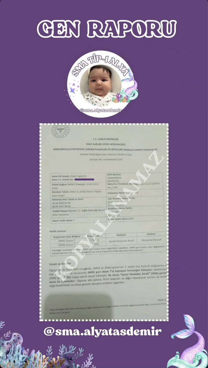 SMA ALYA TAŞDEMİR tweet media