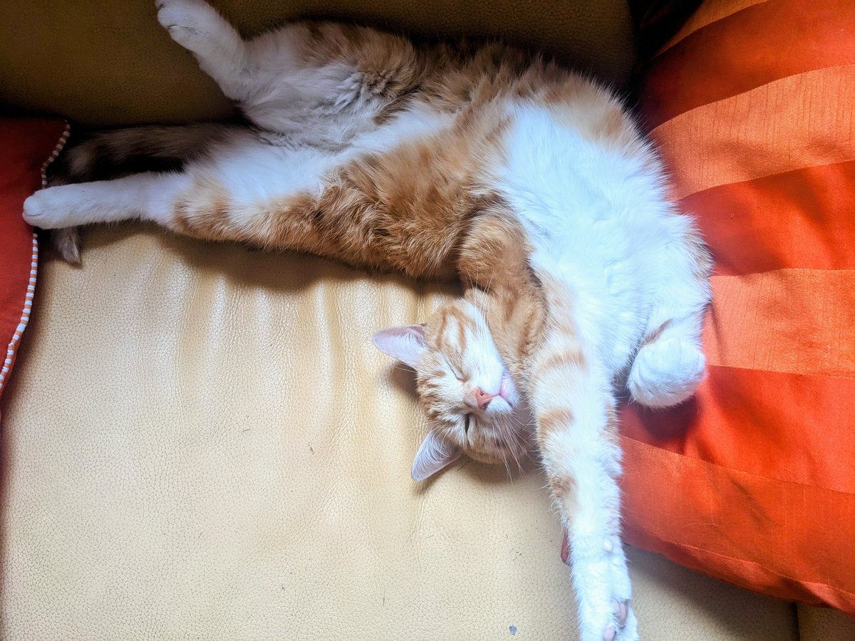 Christophe Ponsard tweet media