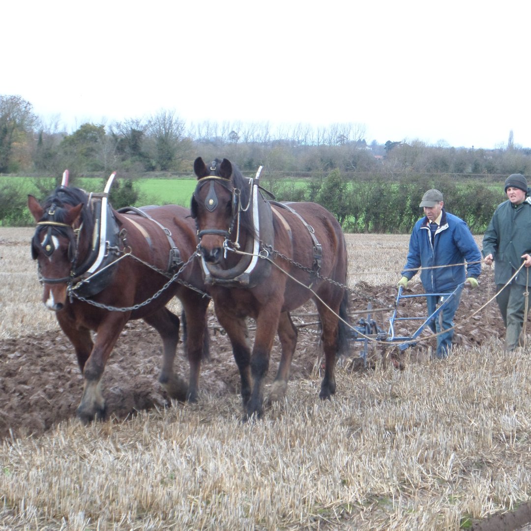 Visit Armagh tweet media