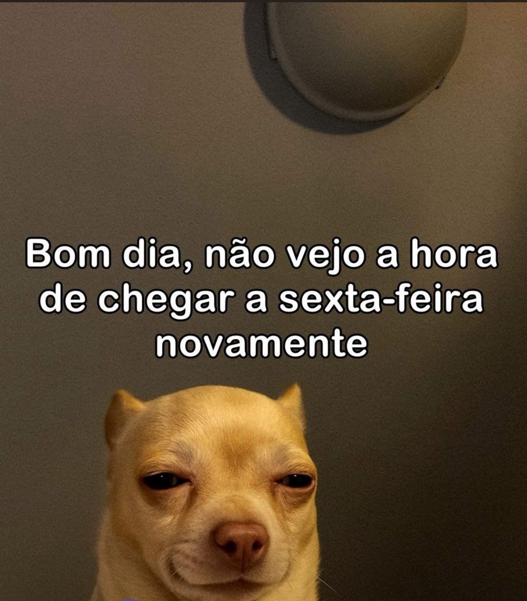 euovitinn's tweet photo. já pode vim o natal https://t.co/V4xzWJsspZ