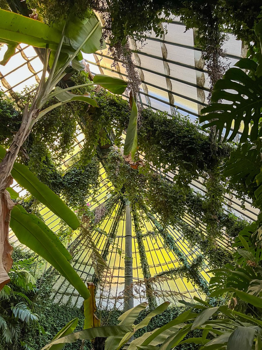 Este finde fuimos al Jardín Botánico 🌺