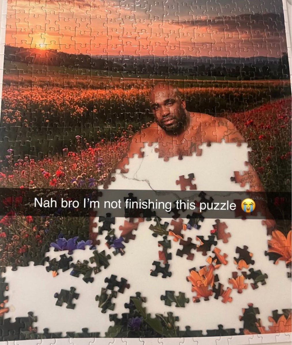 The puzzle: