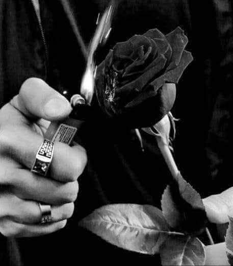 Една љубов,една изгорена роза што мириса на болка и бессони ноќи, симбол на жешка страст.
Нејзините остри трње ја гребат душата,потсетувајќи нè дека љубовта е жртва.
И додека се губиме еден во друг, ја уживаме суштината на она што нè прави ранливи и непобедливи............
.....