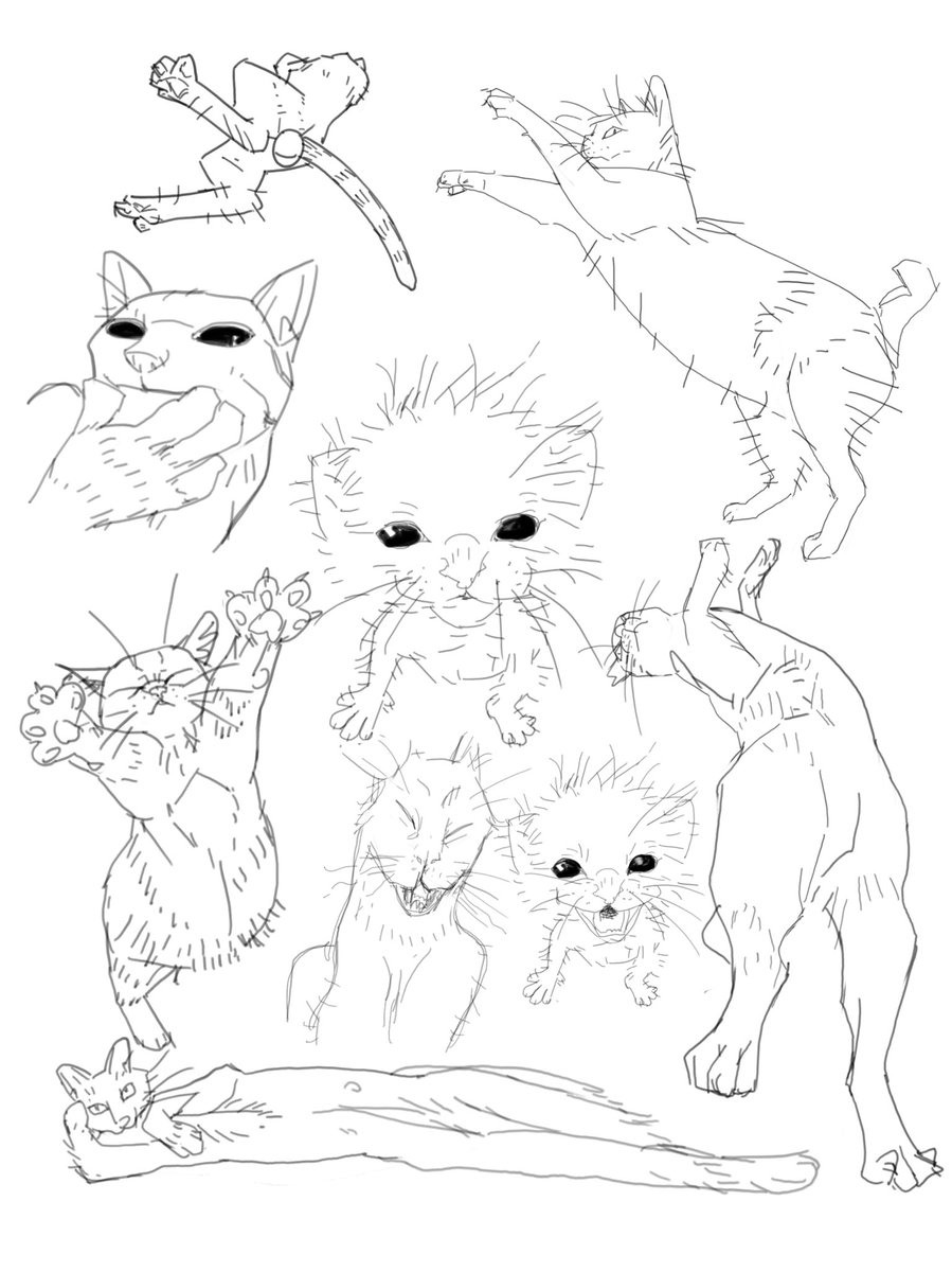 人柱有司 (@hitobashira_aru) on Twitter photo 