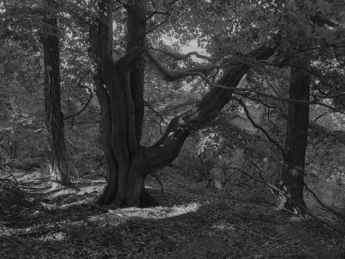 Alexander (@juststrangefeel) on Twitter photo 