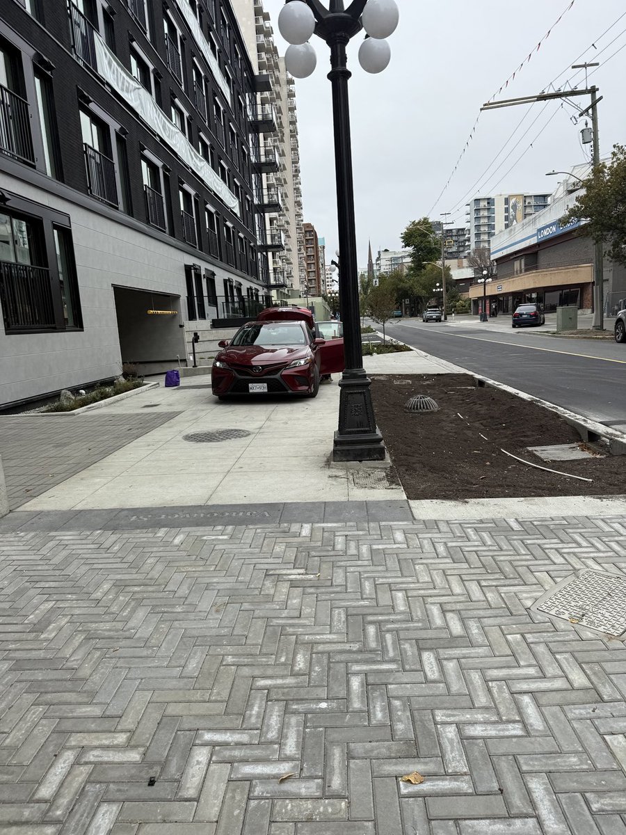 Nell Saba tweet media