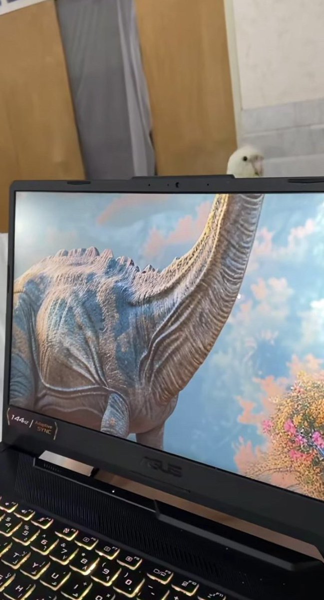 MaikDj (@seta1up) on Twitter photo 