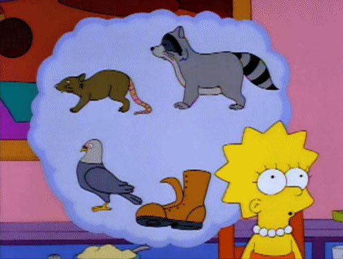 My take on dolla dog day: