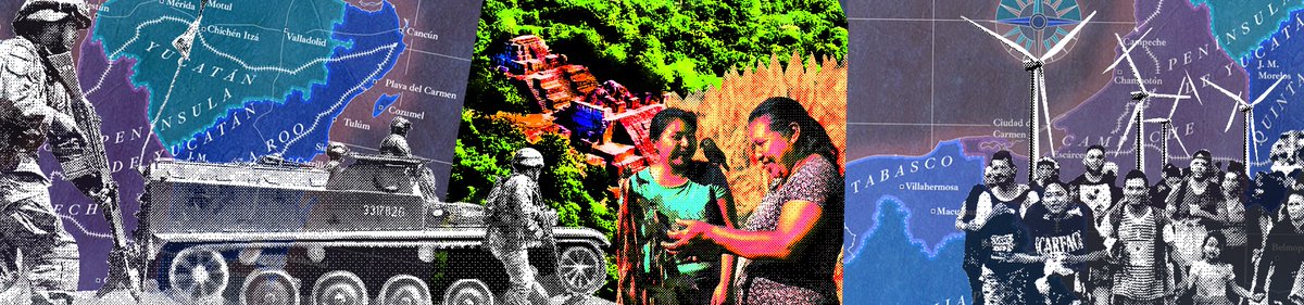 Consejo Civil Mexicano para la Silvicultura tweet media