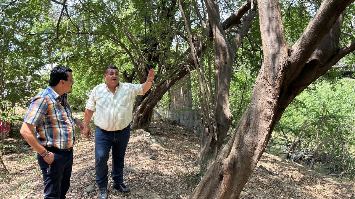 ManabiCce's tweet photo. Seguimos transformando nuestros espacios ✨
Con el apoyo de compañeros y personas que se sumaron a la gestión del Director Carlos Candela Sabando, avanzamos en pintura, adecuaciones y mejoras.

Un lugar más activo, acogedor y abierto para todos 🤝

#CCEManabí #CulturaViva https://t.co/inSdsIZA84