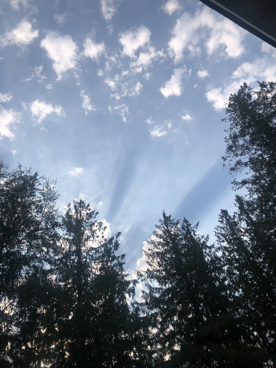 Back deck view yesterday afternoon as I was waiting on burgers to cook….