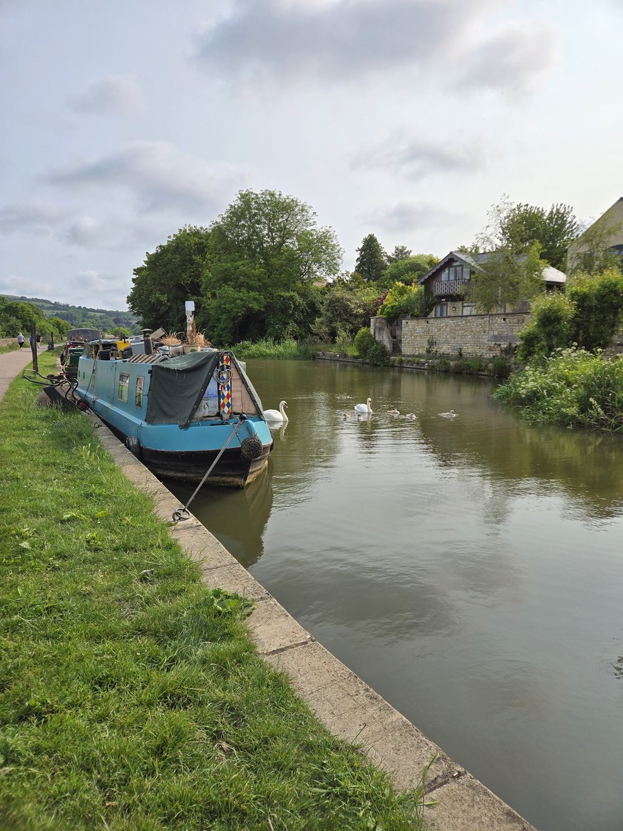 Sonja Francis tweet media