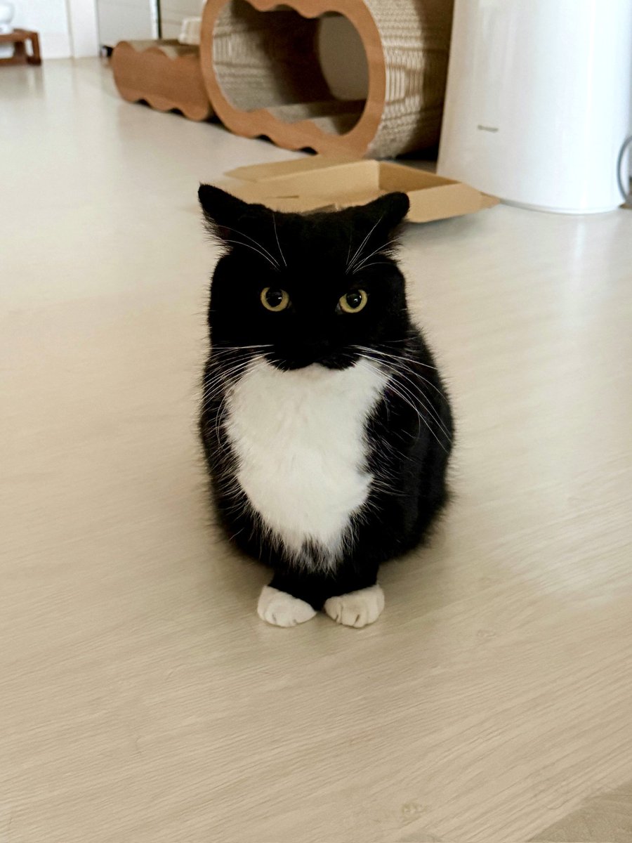 Please <a href="/aave/">Aave</a> <a href="/lemiscate/">Marc ”七十 Billy” Zeller 👻 🦇🔊</a> , consider lowering the reserve factor of USDe from the current 25% to match the 10% from USDC and USDT. Ethena is your best customer, there's no reason to treat it worse than the other stablecoins.

Tyvm for your attention