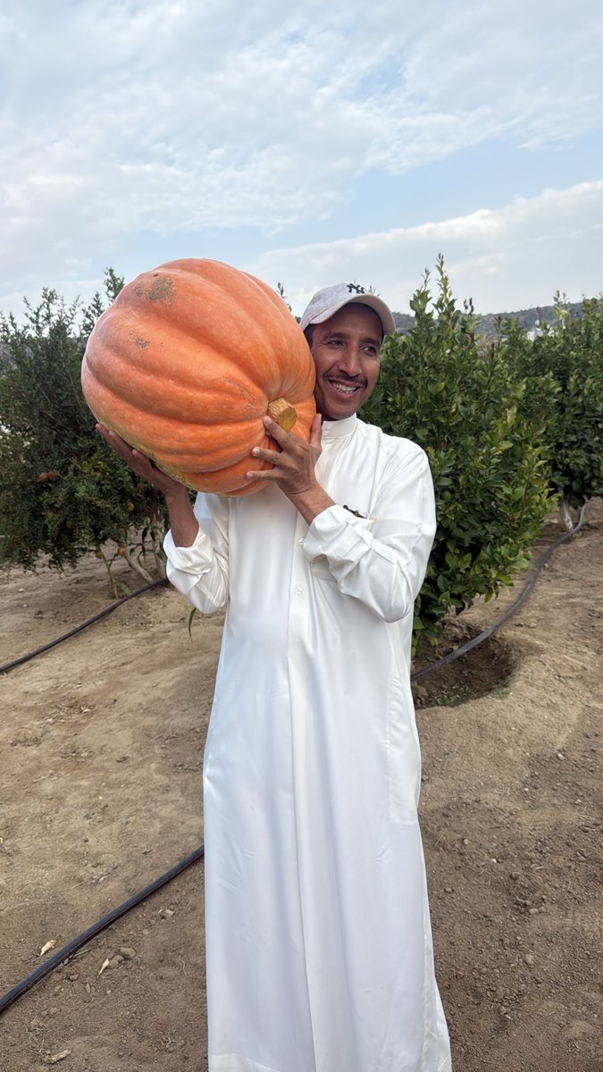dr_farmer9's tweet photo. بواكير ثمار الرمان  في النماص ماشاءالله  .
جولة في مزرعة جرمان بن مشهور في النماص برفقة الكرام  ثنيان بن ثيان وعبدالعزيز بن ثنيان.
@AThenayyan
ويظهر حجم القرع البلدي ماشاء الله  بحجم ضخم بالتسميد العضوي فقط🍅🍅 https://t.co/YW4bOKXIcv