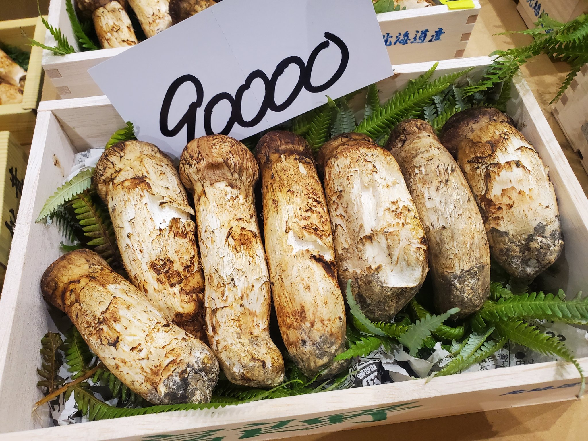 北海道　松茸　350g 特大 北海道 松茸 350g 特大 北海道松茸350g 特大