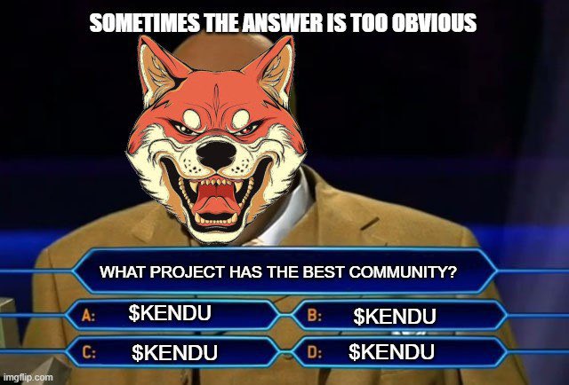 CryptoStudNY's tweet photo. @MaestroBots @base @KenduInu Never seen anything like the $KENDU community.  Never. https://t.co/e0n67ITqiK
